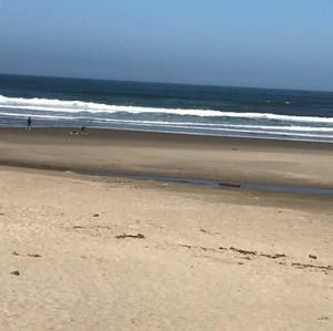 Meet your Posher, Hunter